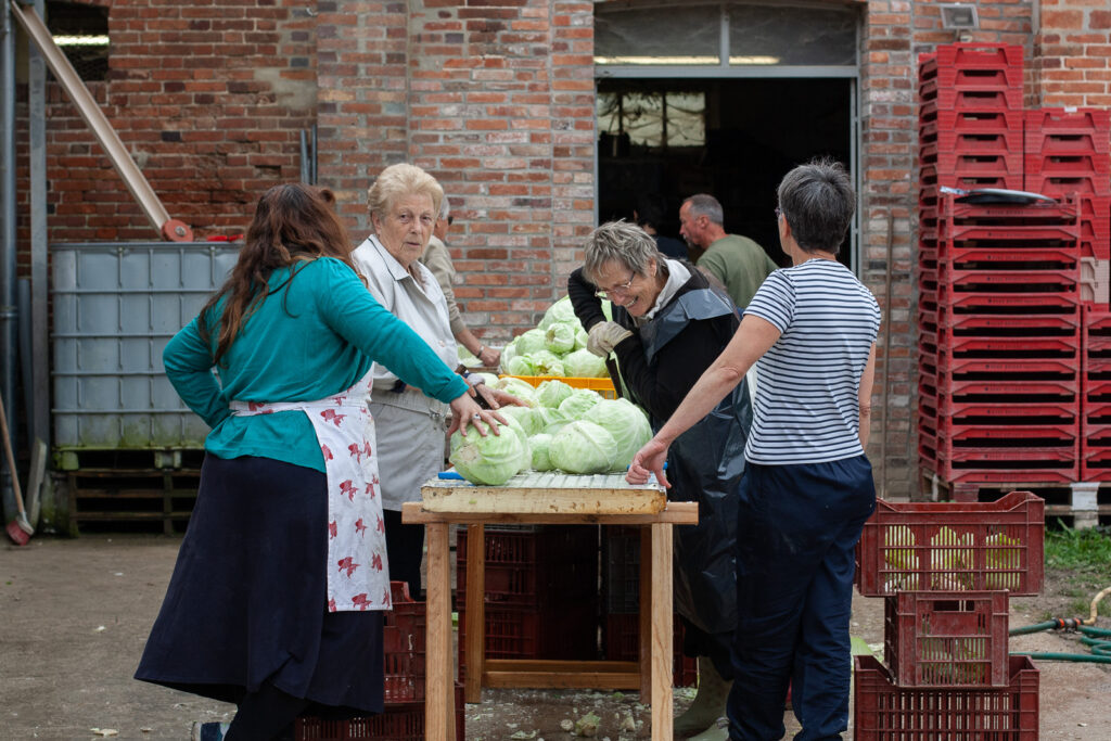 les légumes transformés par les amap : la choucroute à la ferme