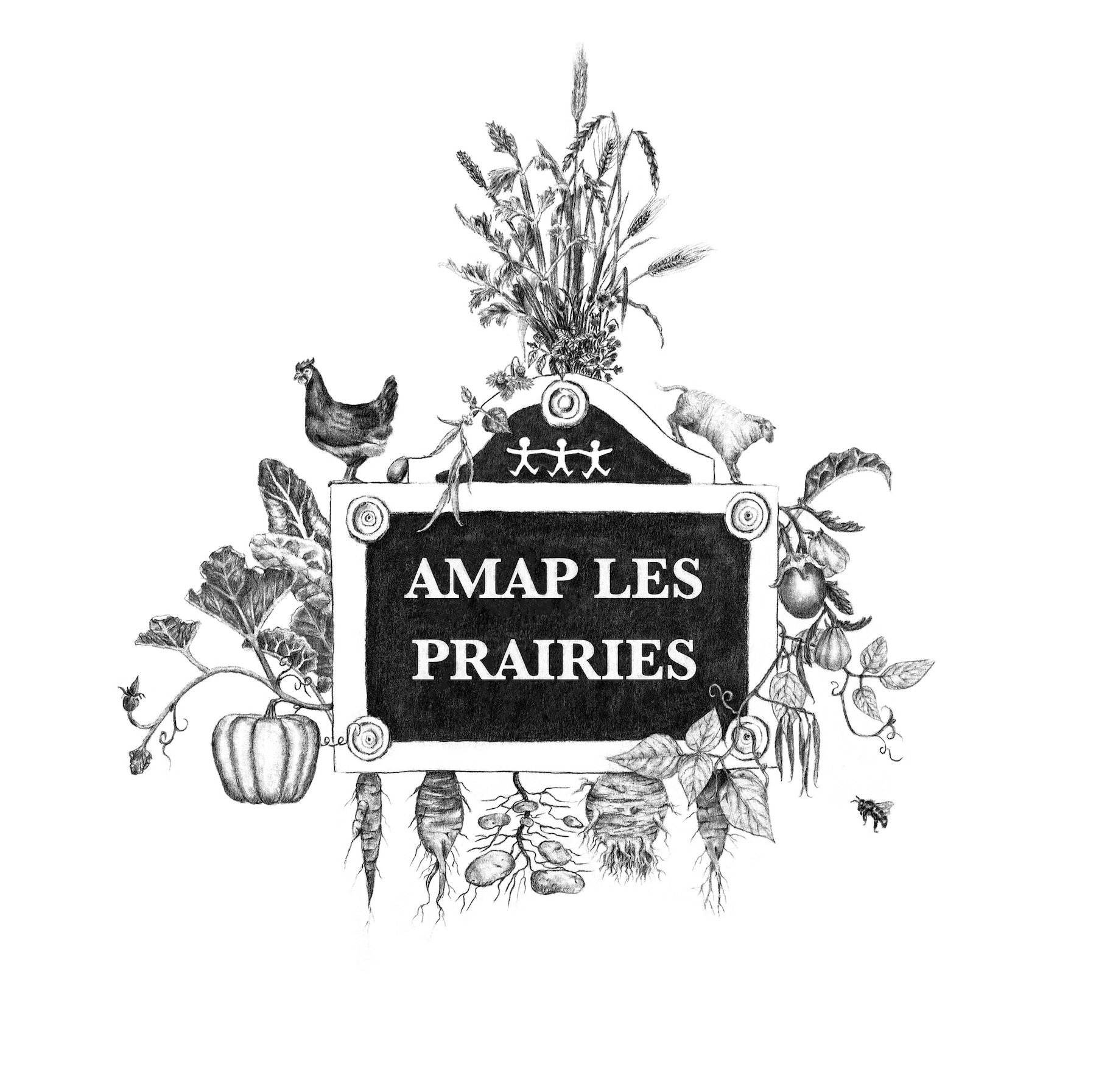 logo AMAP des prairies ©juliette deseilligny
